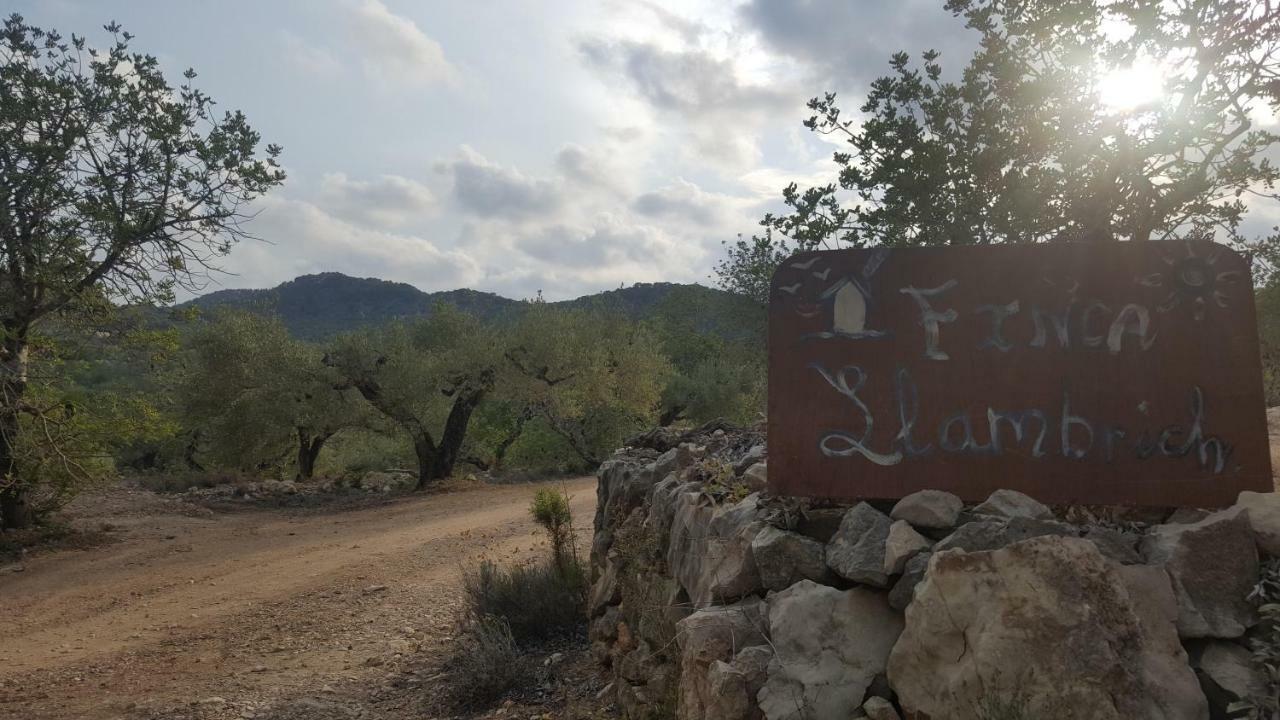 Finca Llambrich L'Ametlla de Mar Bagian luar foto