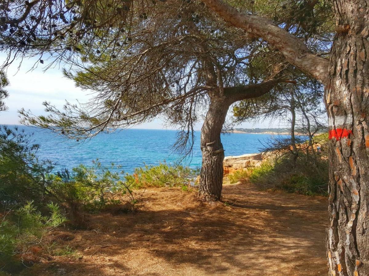 Finca Llambrich L'Ametlla de Mar Bagian luar foto